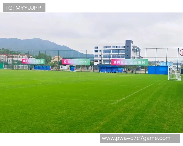 黄向东在足球领域的崛起与成就分析及其对中国足球发展的影响